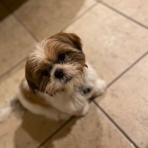 Meet your Posher, Blanca